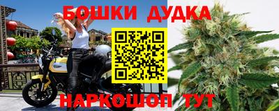 МДПВ Пенза