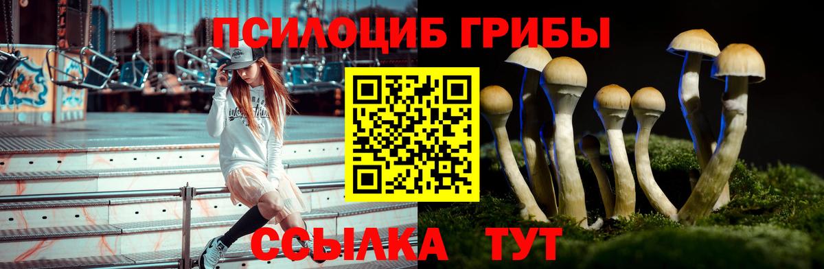хочу   Галлюциногенные грибы прущие грибы  Галлюциногенные грибы Psilocybe  Вход с VPN  Нягань 